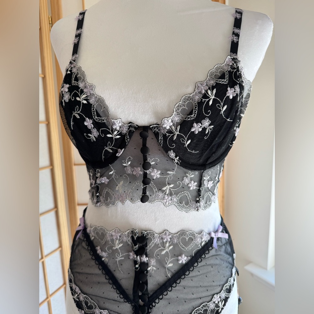 2pc NWT For Love & Lemons "Amour" Set, Retro Longline bra & panty - Picture 5 of 14